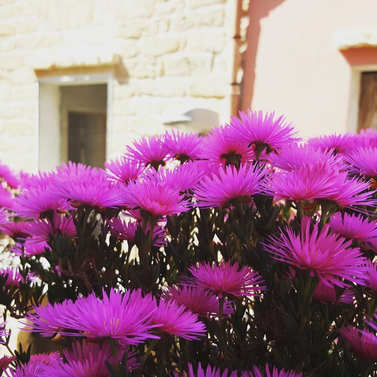 B&B Cinisi Vacanze מראה חיצוני תמונה